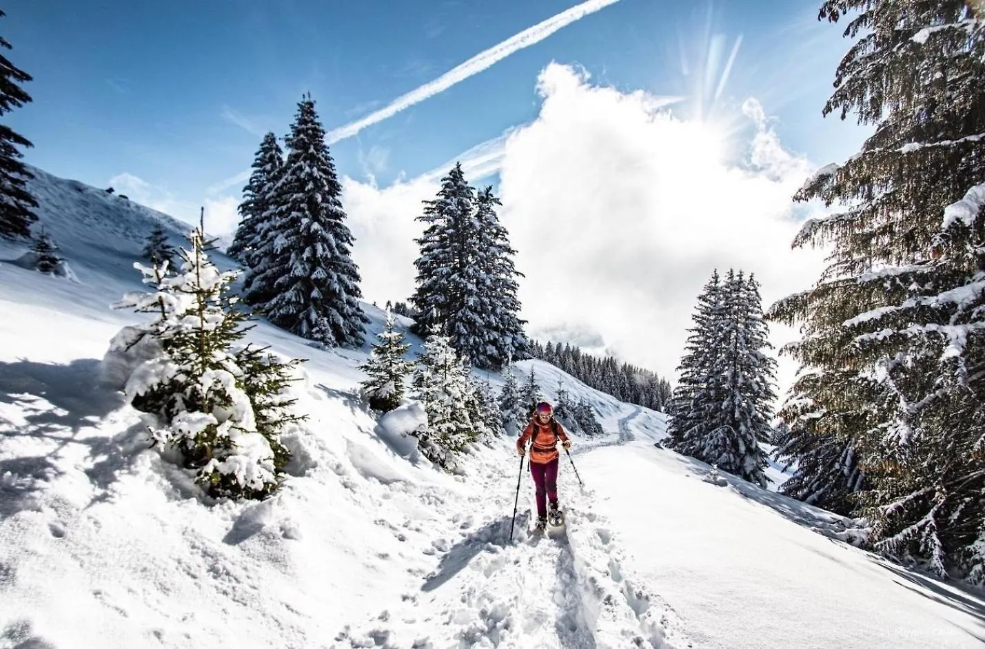Apartment Chalet Le Reve Rev Mountain & Sun 5 Pers Chatel