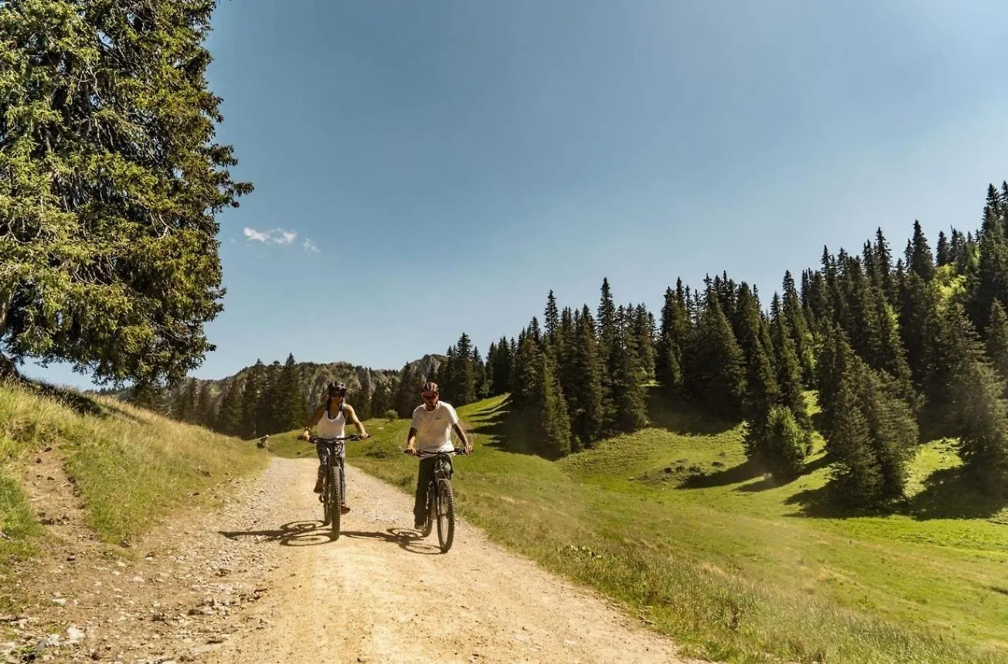 Chalet Le Reve Rev Mountain & Sun 5 Pers Chatel